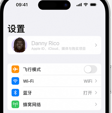 排浦镇appleID维修服务iPhone设置中Apple ID显示为灰色无法使用