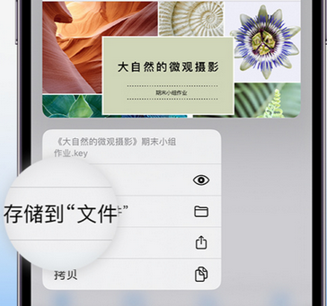 排浦镇apple维修中心分享iPhone文件应用中存储和找到下载文件