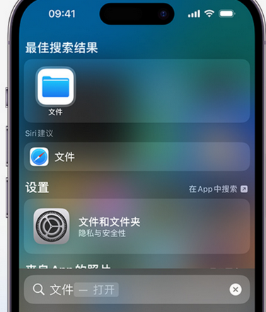 排浦镇apple维修中心分享iPhone文件应用中存储和找到下载文件 