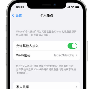 排浦镇apple服务站点分享iPhone上个人热点丢失了怎么办