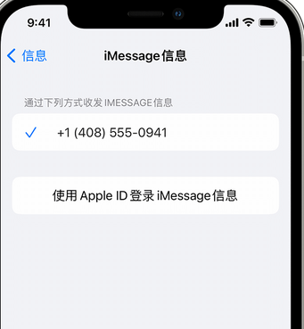 排浦镇apple维修iPhone上无法正常发送iMessage信息 