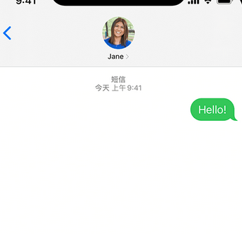 排浦镇apple维修iPhone上无法正常发送iMessage信息