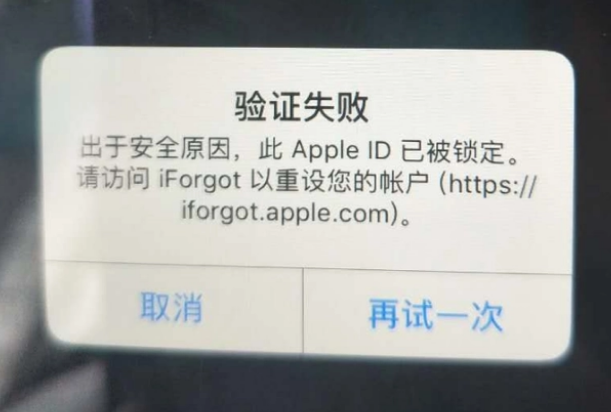 排浦镇iPhone维修分享iPhone上正常登录或使用AppleID怎么办 