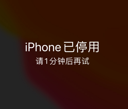 排浦镇苹果手机维修分享:iPhone 显示“不可用”或“已停用”怎么办？还能保留数据吗？ 