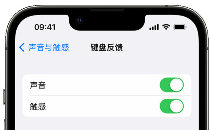 排浦镇苹果手机维修分享iPhone 14触感键盘使用方法 