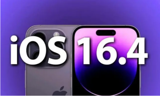 排浦镇苹果14维修分享：iPhone14可以升级iOS16.4beta2吗？ 