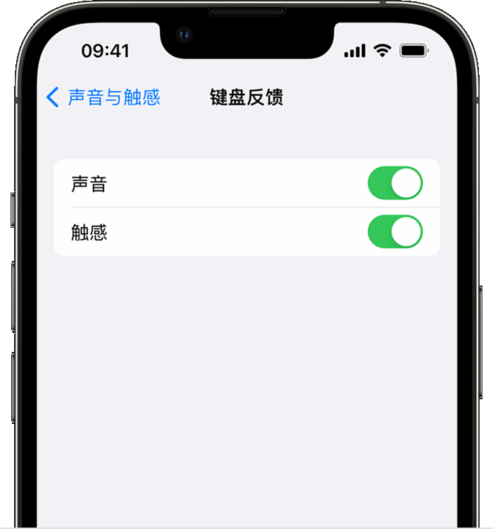 排浦镇苹果14维修店分享如何在 iPhone 14 机型中使用触感键盘 