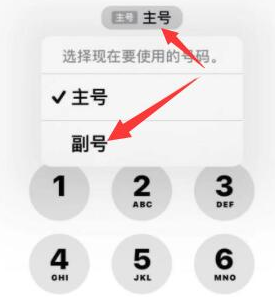 排浦镇苹果14维修店分享iPhone 14 Pro Max使用副卡打电话的方法 