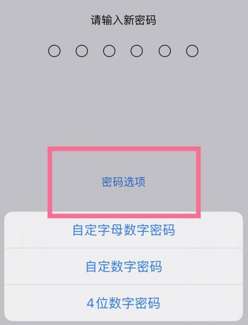 排浦镇苹果14维修分享iPhone 14plus设置密码的方法 