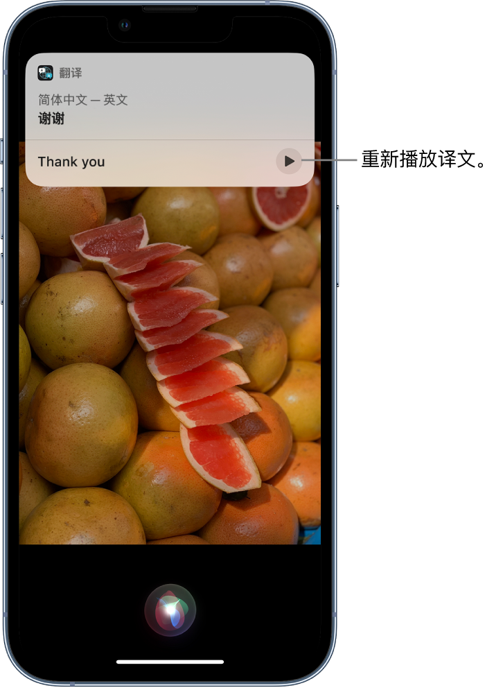 排浦镇苹果14维修分享 iPhone 14 机型中使用 Siri：了解 Siri 能帮你做什么 