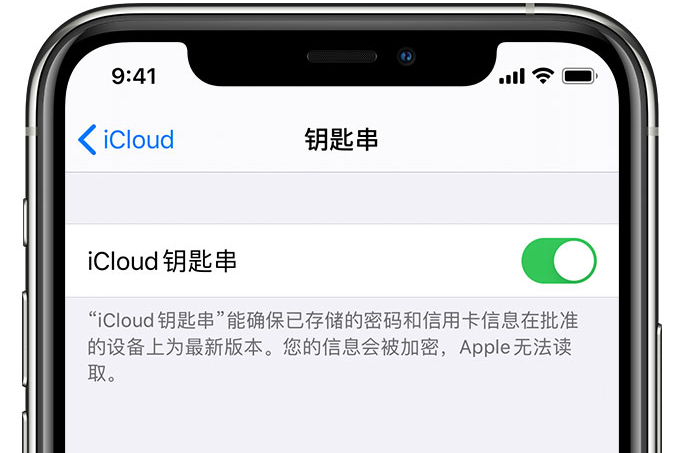 排浦镇苹果手机维修分享在 iPhone 上开启 iCloud 钥匙串之后会储存哪些信息 