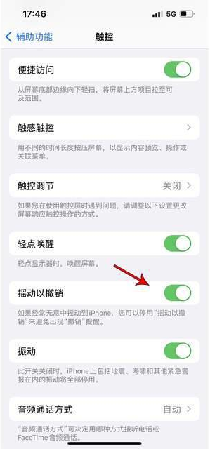 排浦镇苹果手机维修分享iPhone手机如何设置摇一摇删除文字 