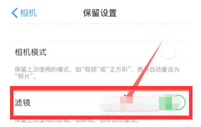 排浦镇苹果13维修分享iPhone13拍照有绿点是怎么回事 