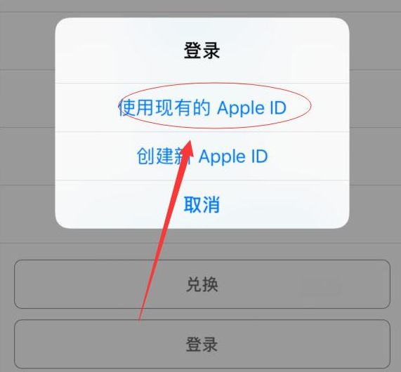 排浦镇苹果手机维修分享两台iPhone设备可以同时登录一个Apple ID吗 