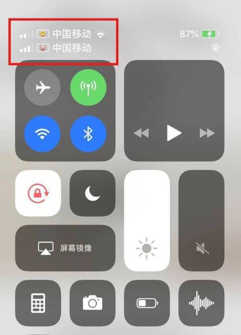 排浦镇苹果手机维修分享为 iPhone 12 双卡设置标签 